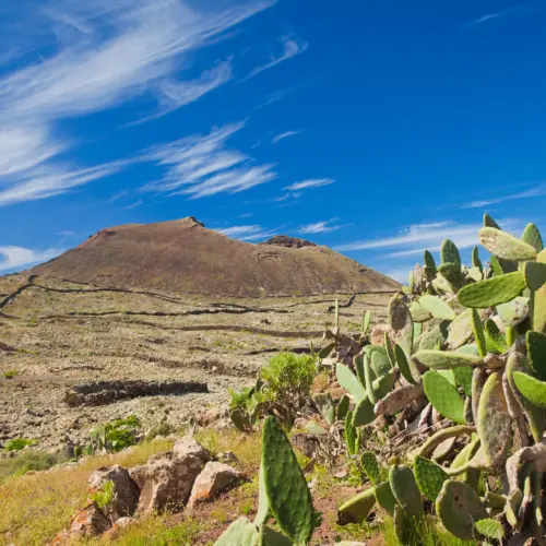 iStock-160385566la arena trail_result